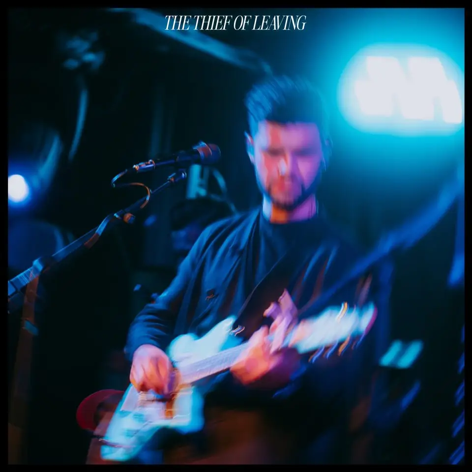 'The Thief of Leaving' Artwork (MCVEIGH press release)