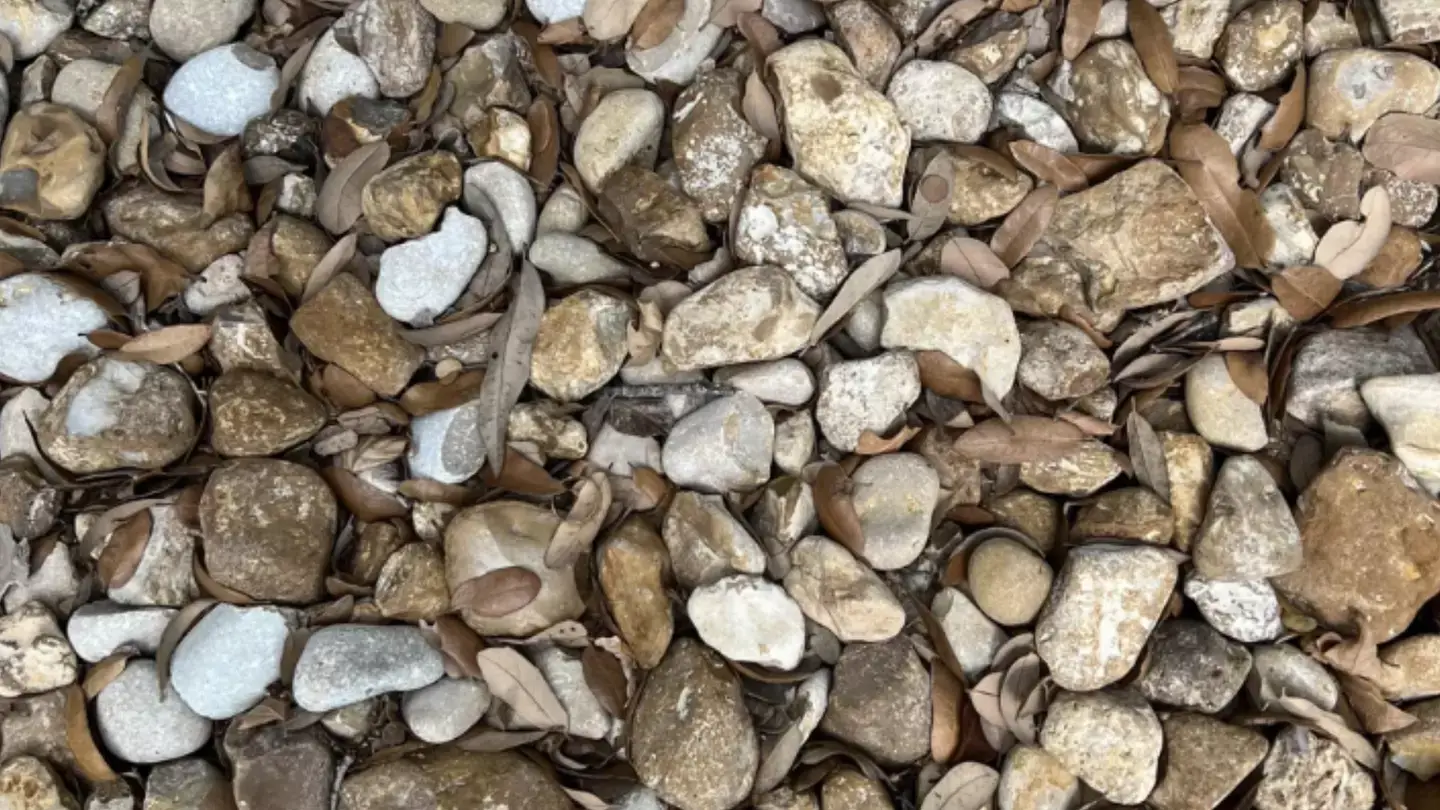 Some are easier than others and even then they can be frustrating(Reddit / @raedcabello)