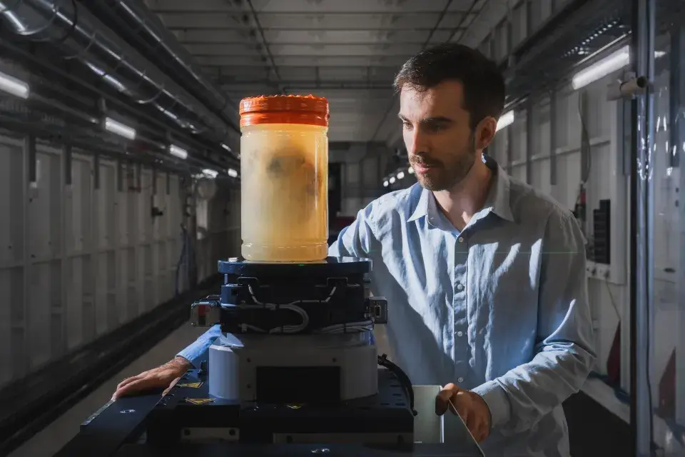 The experts scanned two different human hearts. (ESRF/Stef Candé)