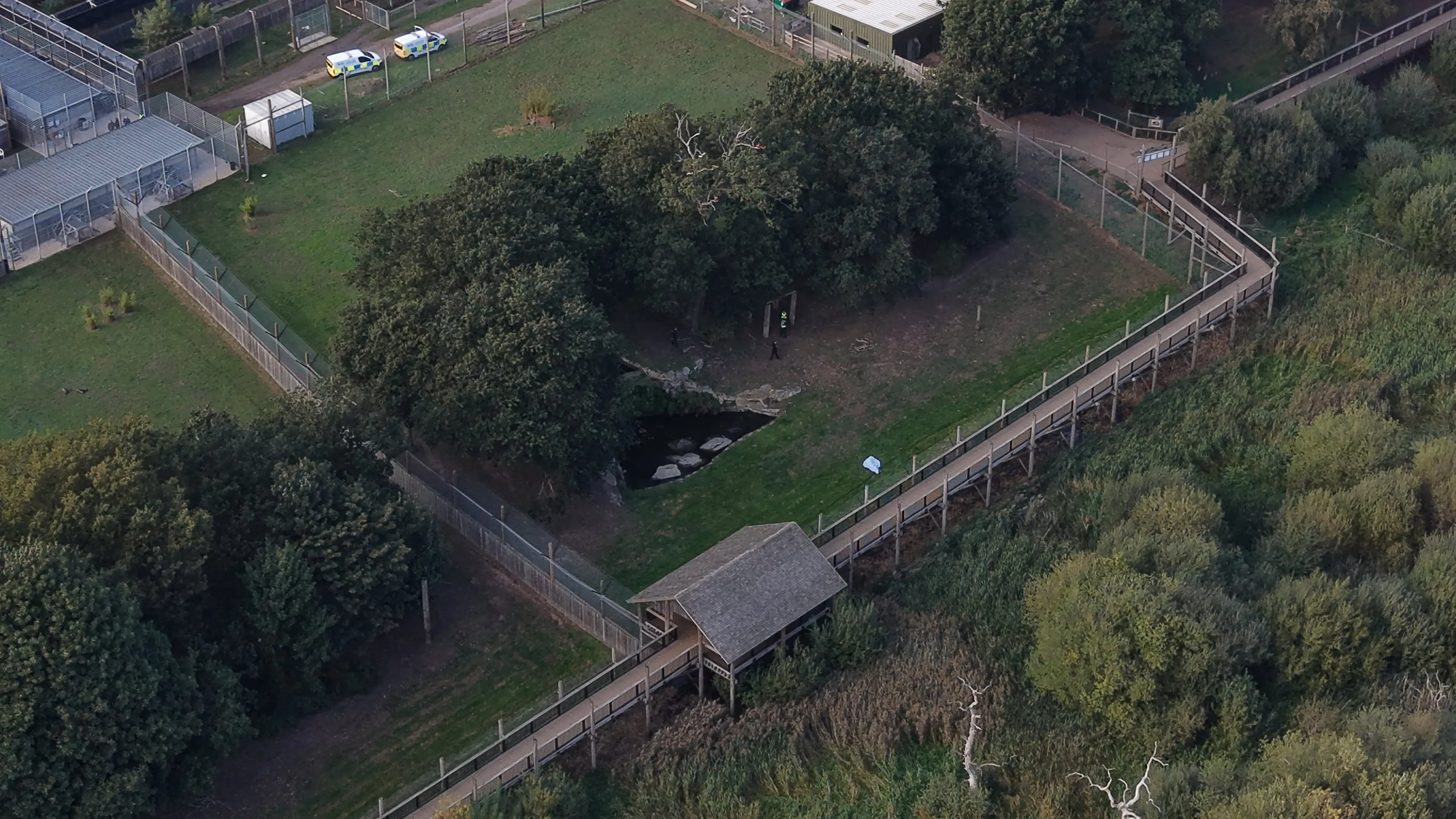Witnesses have described what happened in the moments before he entered the tiger enclosure (SWNS)