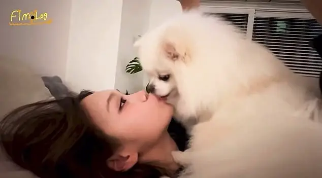 The video has grossed people out (Weverse)