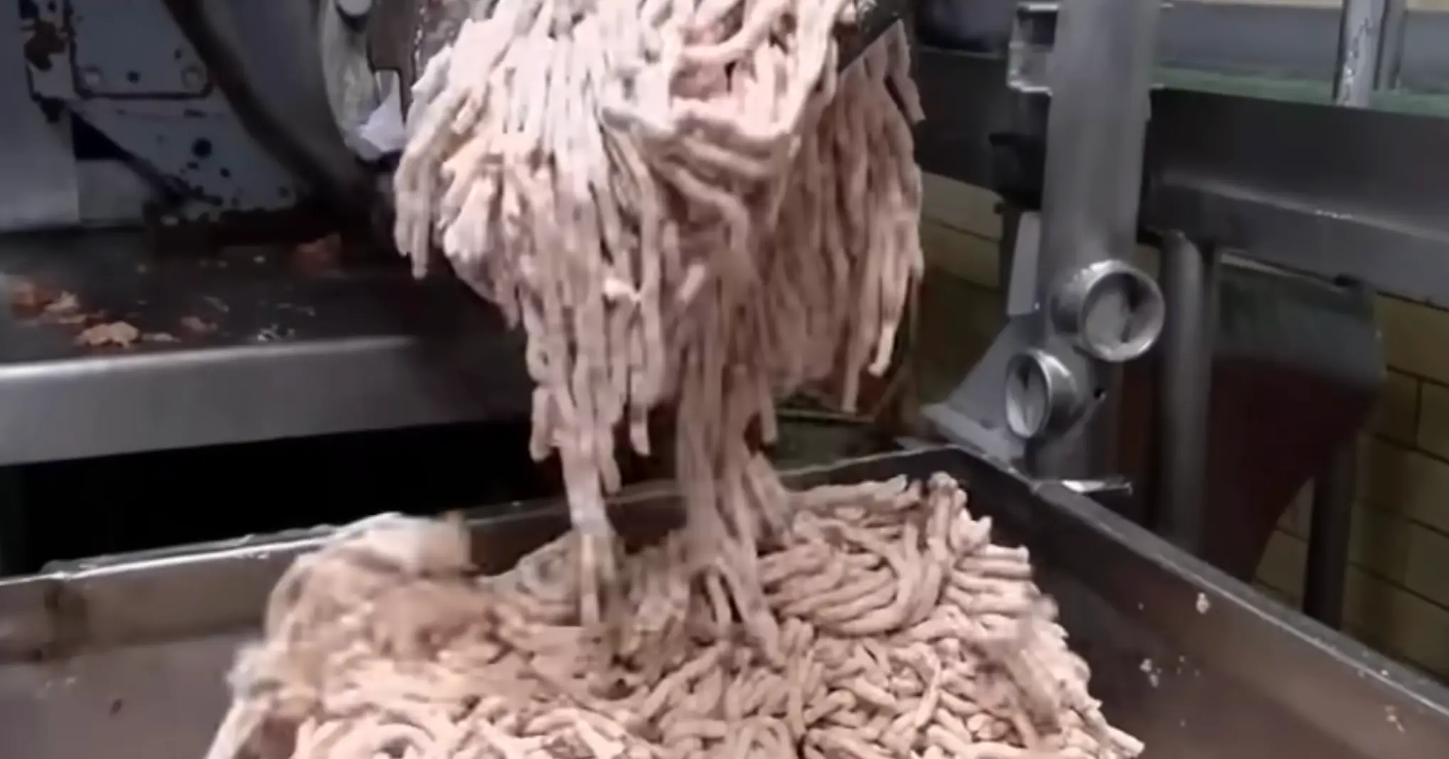 First we have anaemic meat worms (YouTube/@HowItsMade) 