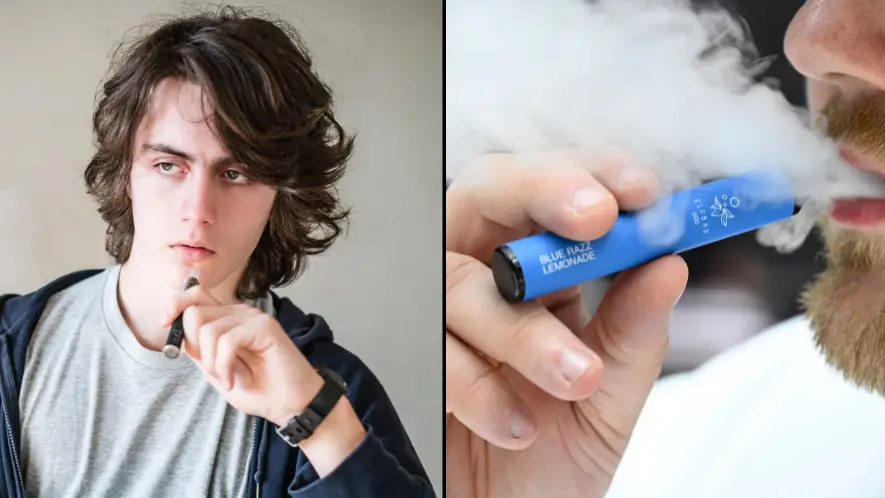 Phanie / dpa picture alliance / Alamy