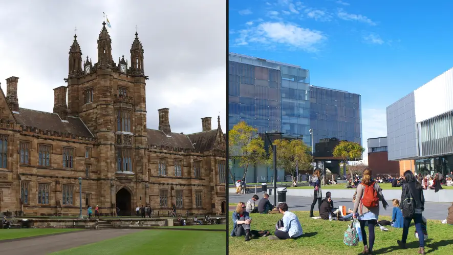 Carrot / Alamy Stock Photo. martin berry / Alamy Stock Photo