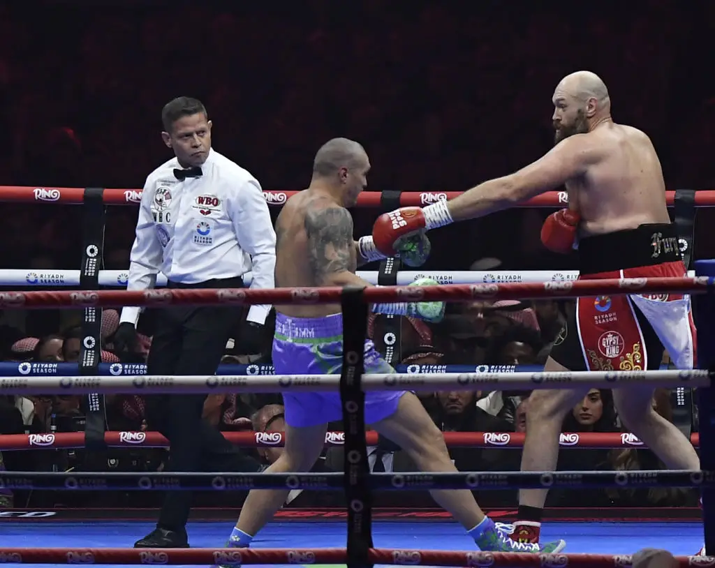 Usyk has remained the undisputed heavyweight champion, with Joshua and Fury left with a point to prove (Mohammed Saad/Anadolu via Getty Images)