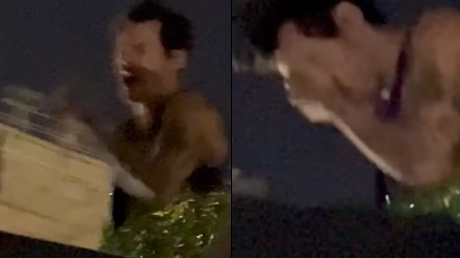 Harry Styles 'attacked' mid-show in disturbing new trend