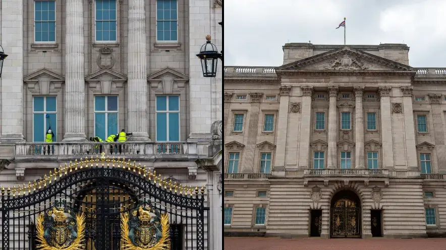 Maureen McLean/Shutterstock/Marcin Nowak/Shutterstock