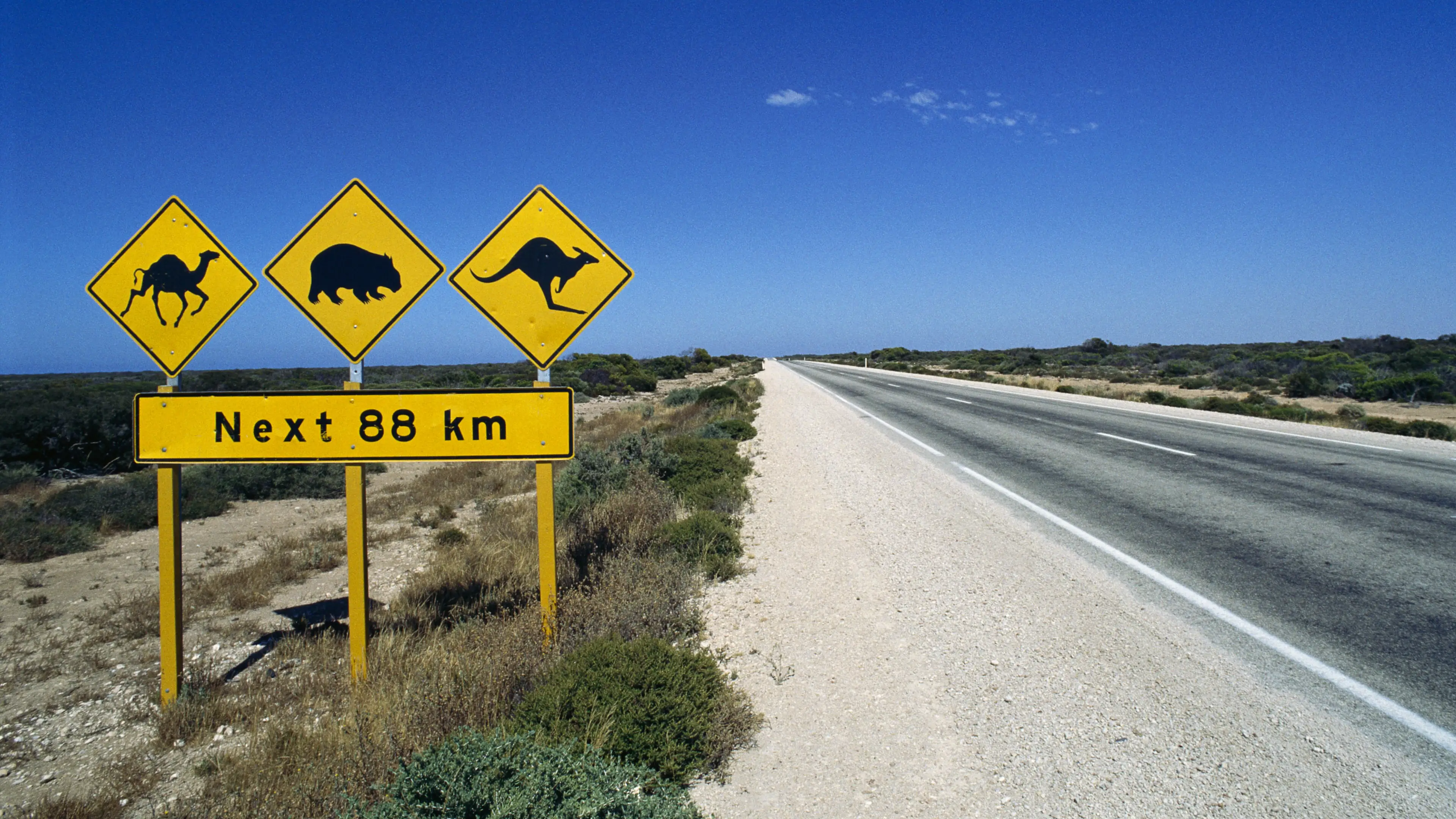 The best Aussie road trips to take this Easter Long Weekend