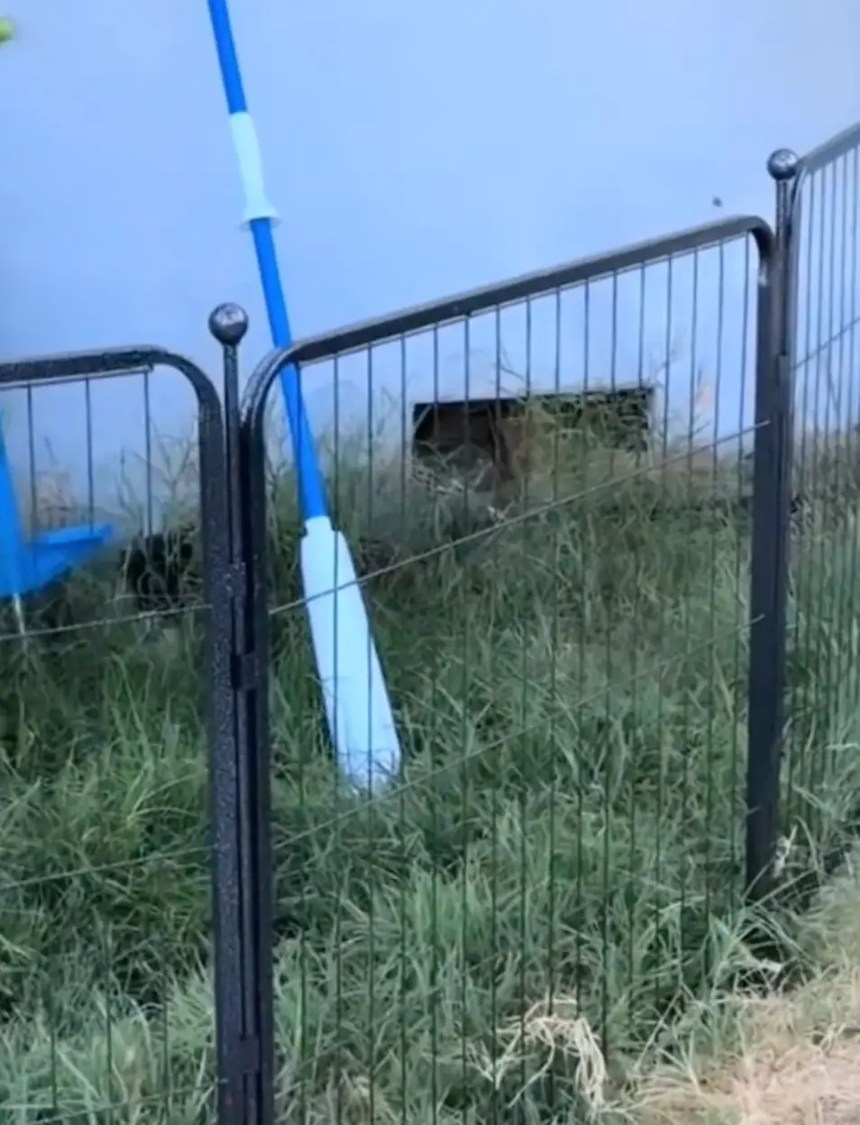 Ashly spotted an arm coming out of the hole in her house.