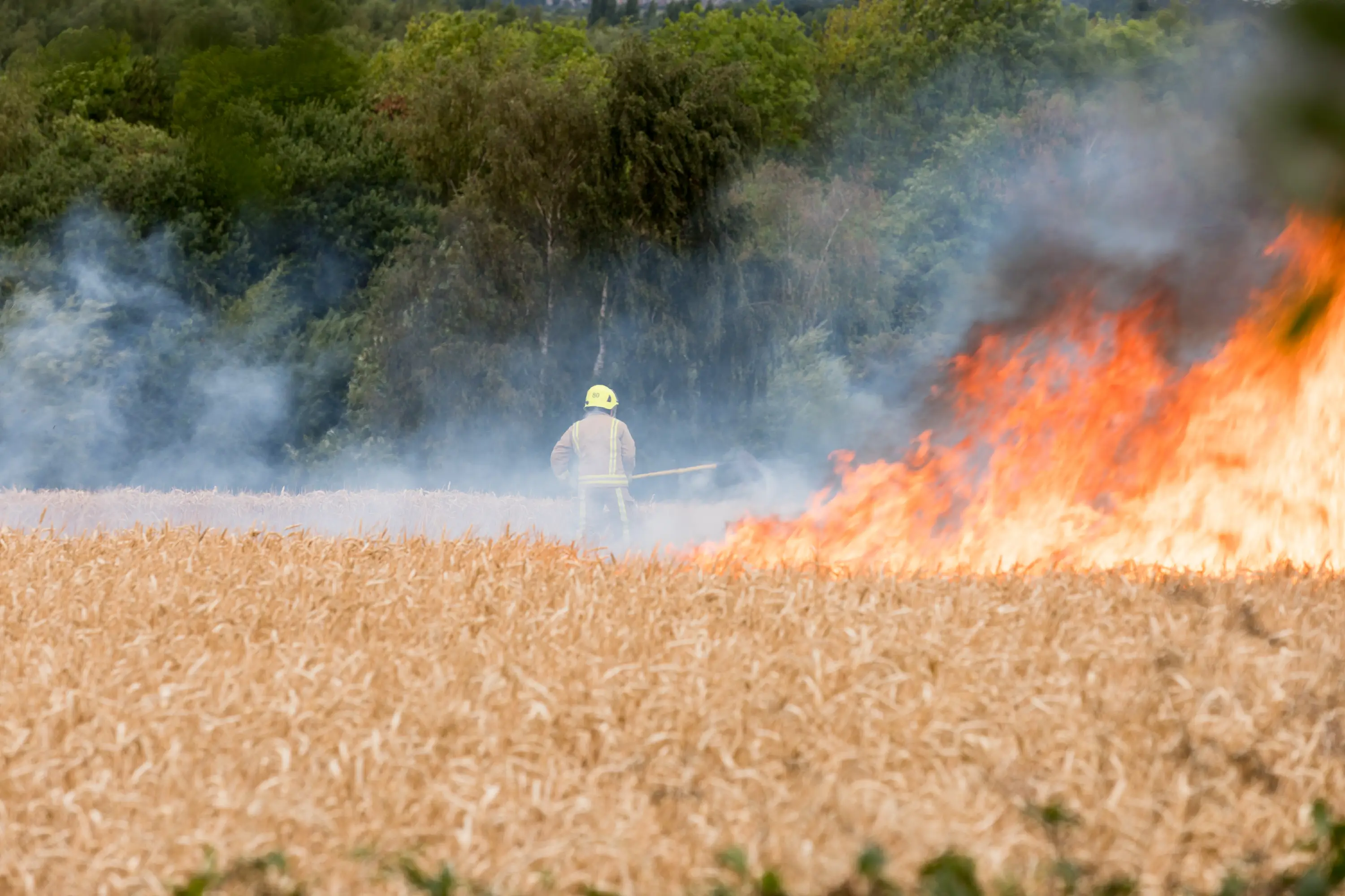 Wildfires have been started in the UK's driest summer (Getty Images)