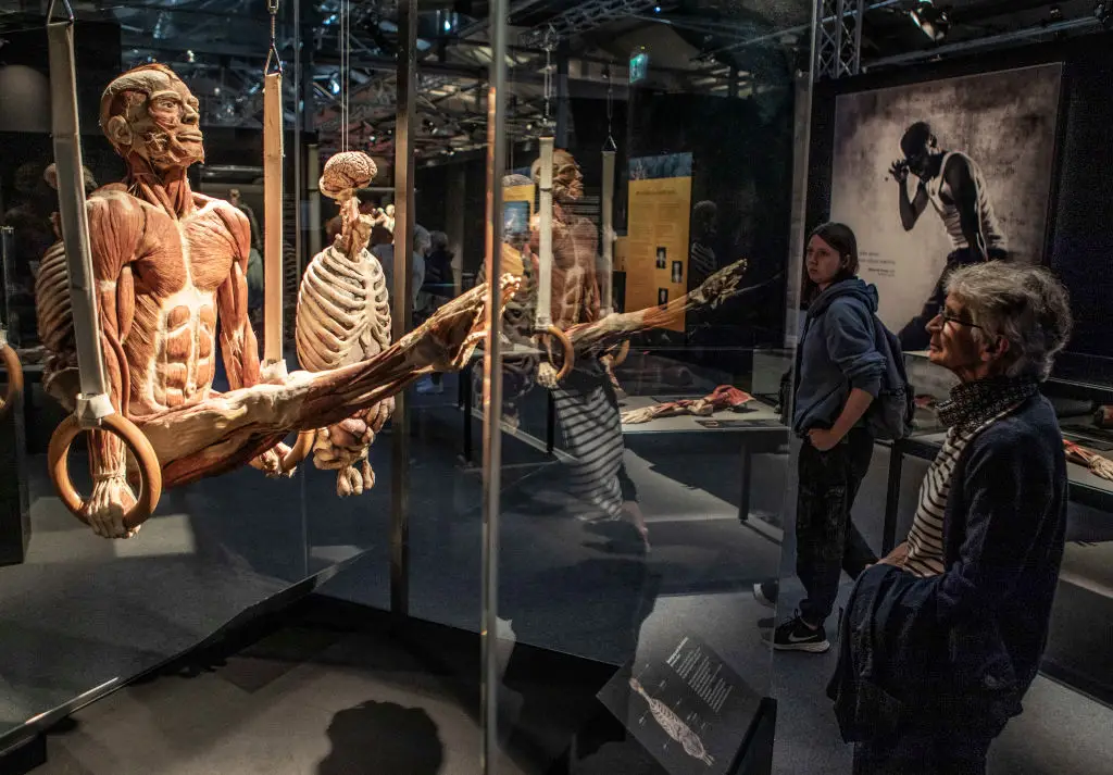 The exhibitions drew a lot of attention (Ulrich Baumgarten/Getty Images)