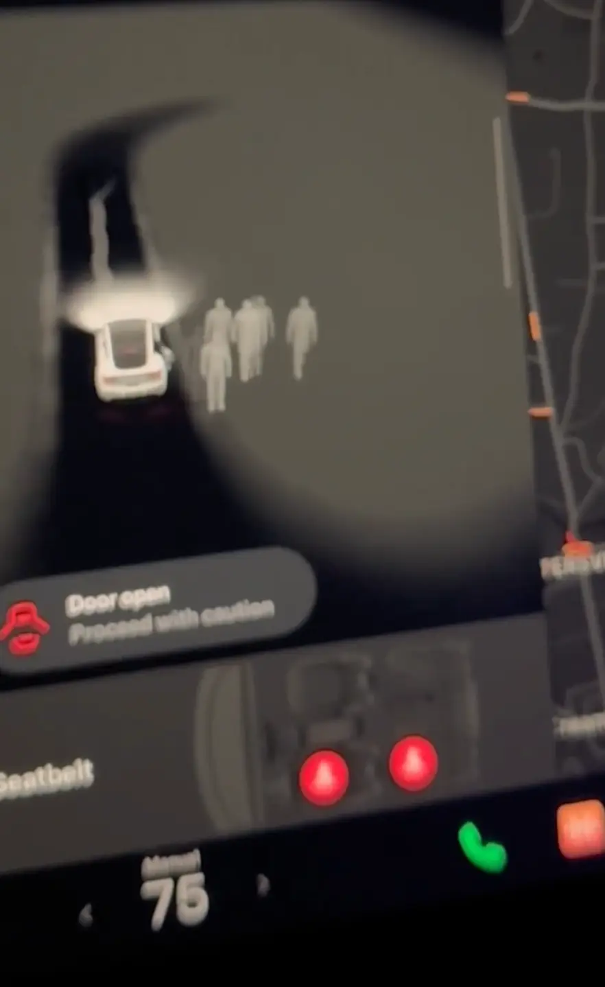 The passengers could be heard screaming in fright towards the end of the clip.