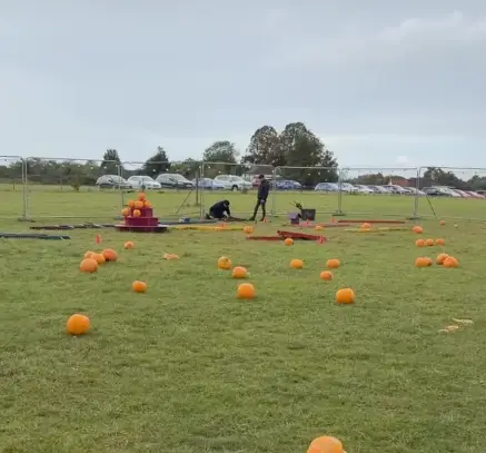 The pumpkin patch (alexdodman)