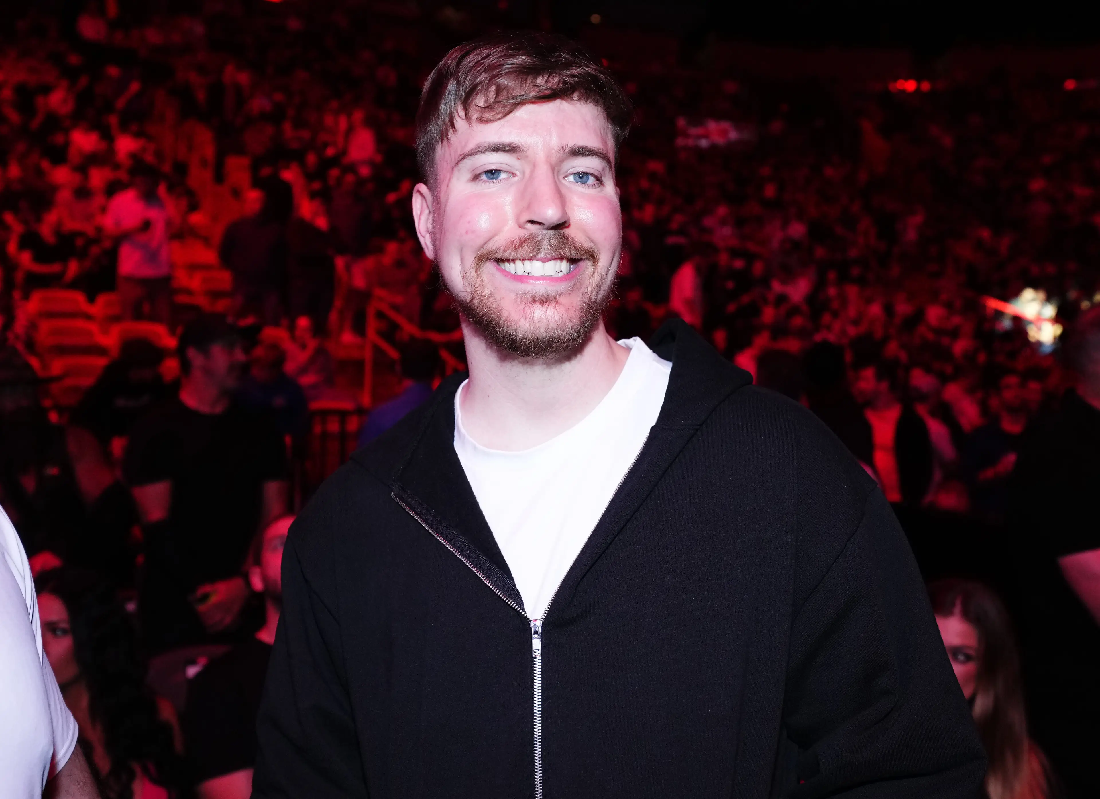 MrBeast arranged for an internal investigation. (Chris Unger/Zuffa LLC via Getty Images)