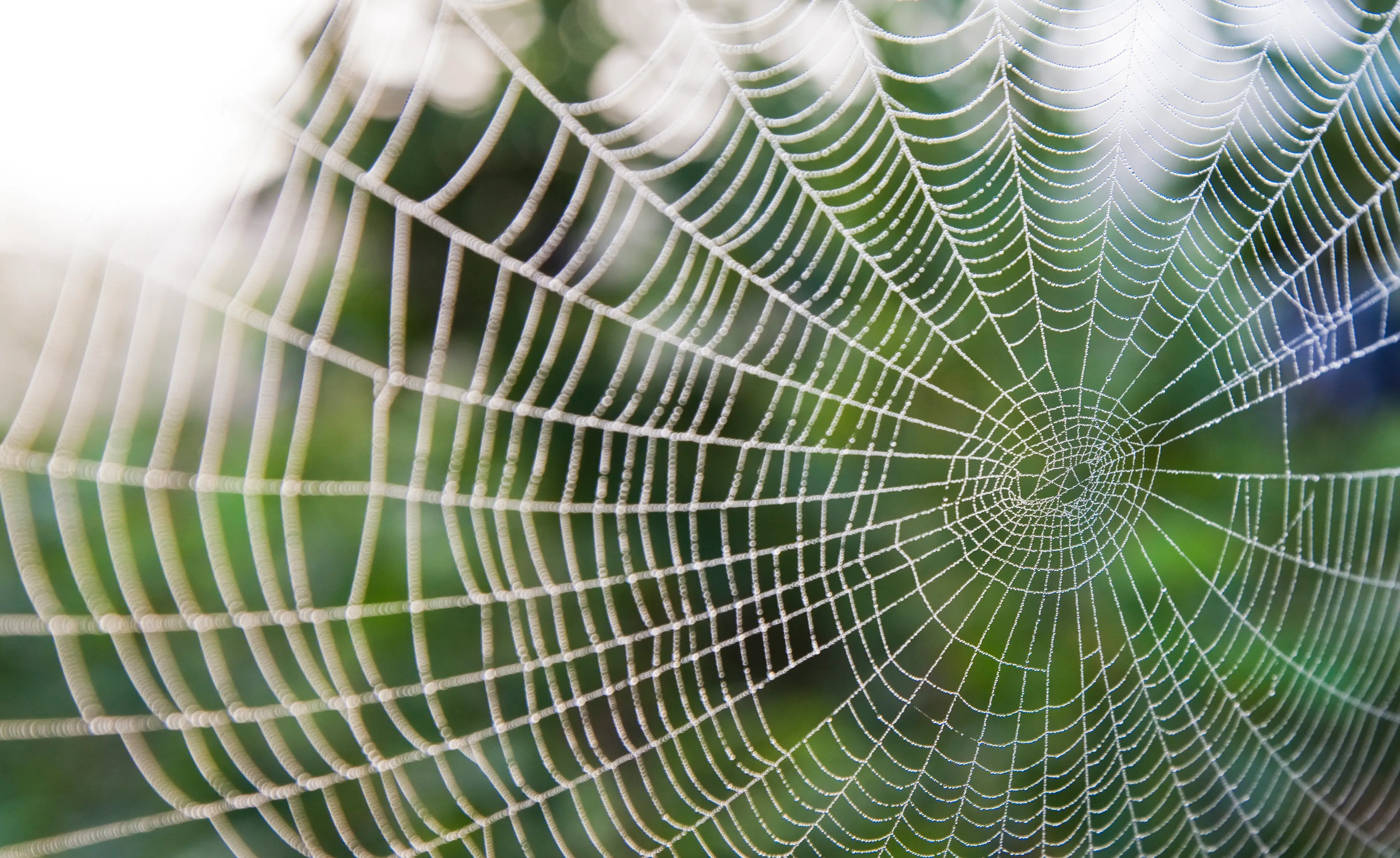 It's important to be aware of the signs of spider-webbing (Getty stock image)
