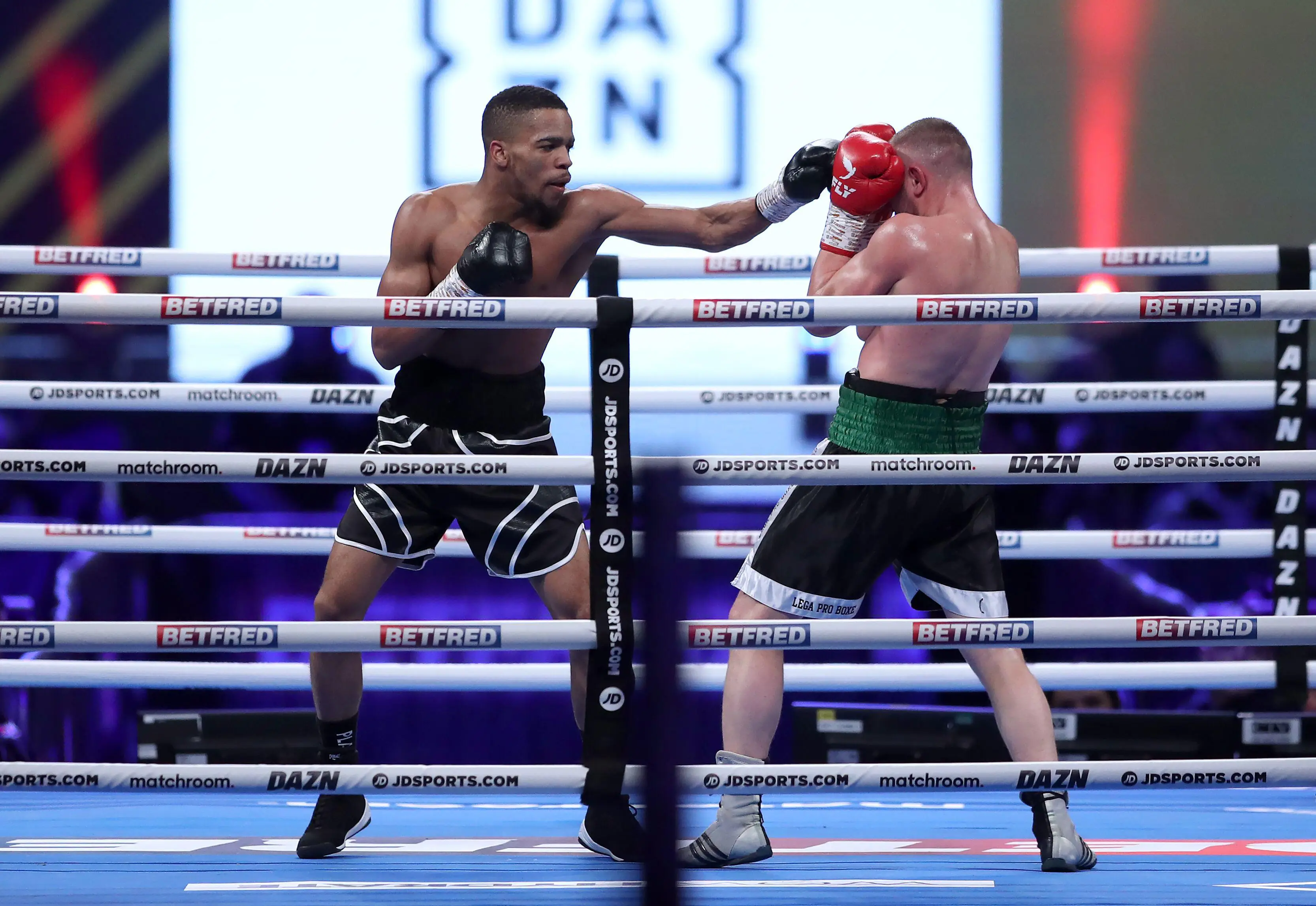 Shiloh is a boxer known as Sugar Shy.