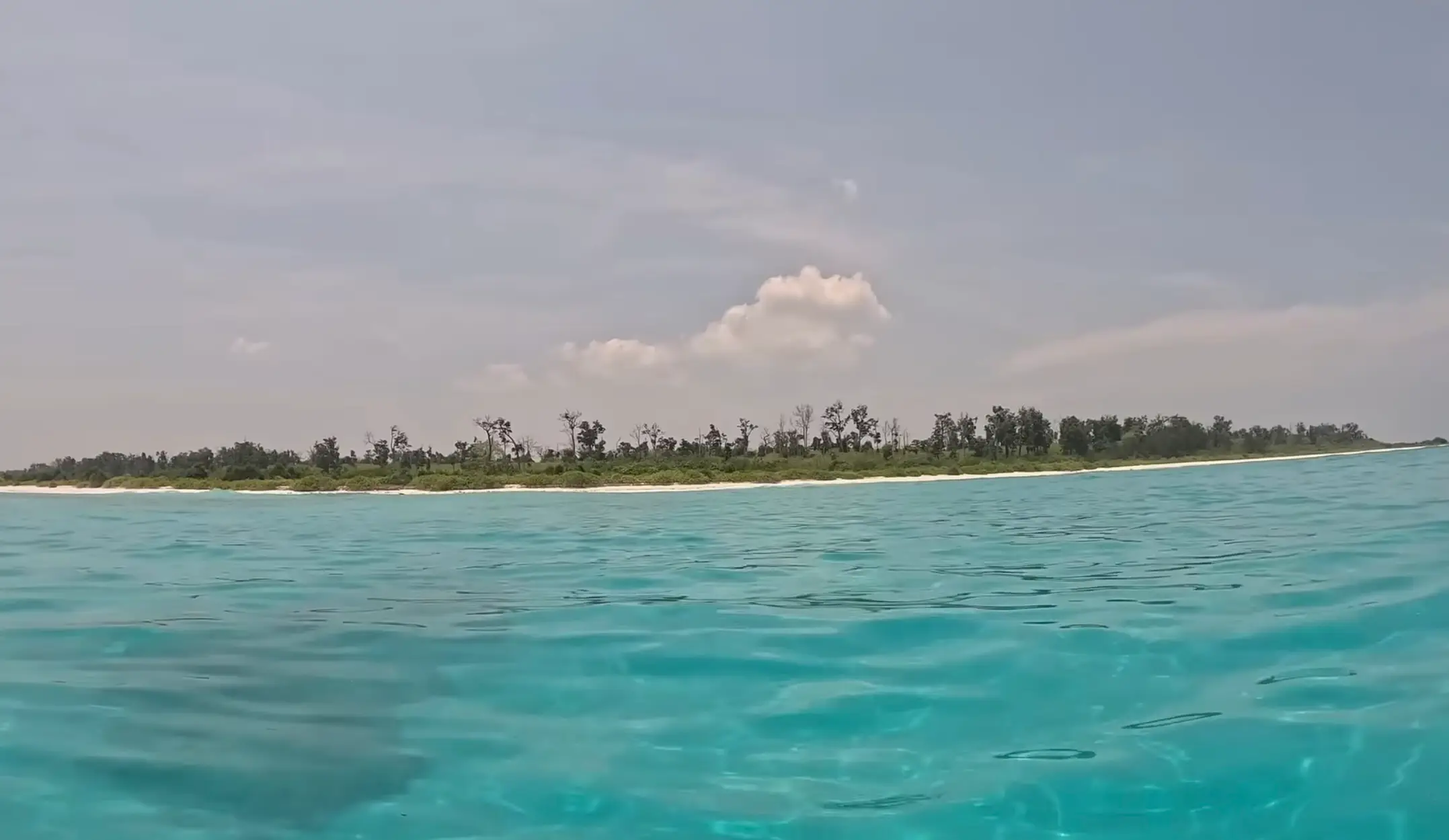 He showed footage of the island in a YouTube video uploaded in June (YouTube/Neo-Orientalist)