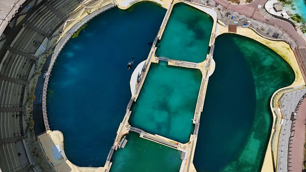 The facilities in France do not meet animal welfare standards (Mohamad Salaheldin Abdelg Alsayed/Anadolu via Getty Images)