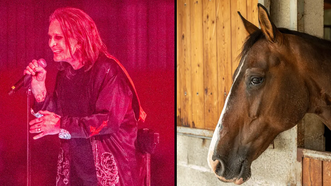 Stewart Marsden / Guido Paradisi / Alamy