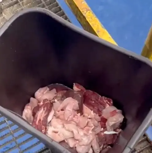 That's a lot of meat. (X/@aykiricomtr)