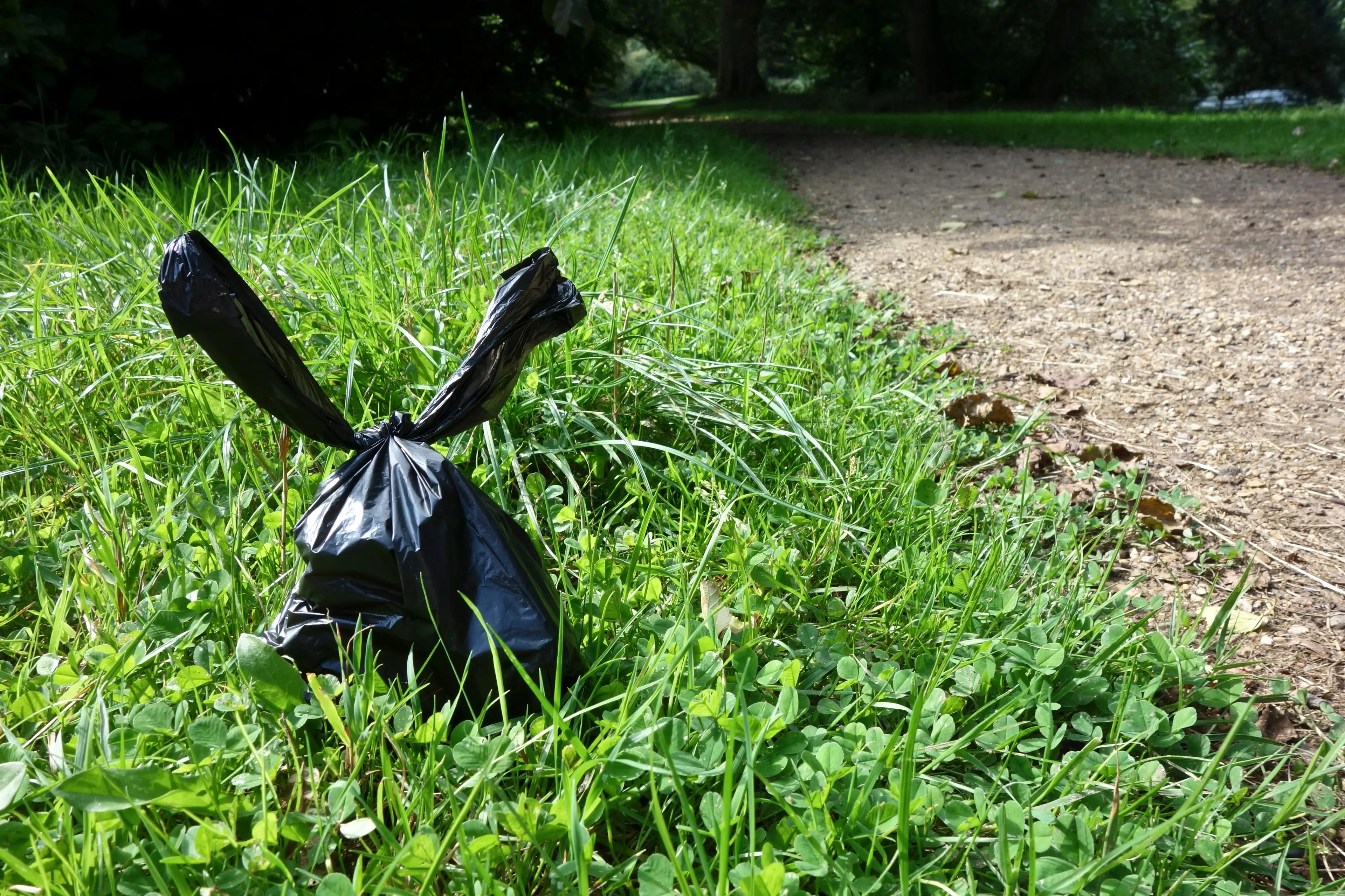 They warned the dog owner that they would be putting cameras up.