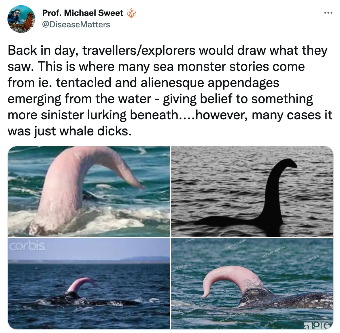 Sweet shared the eye-opening revelation online.