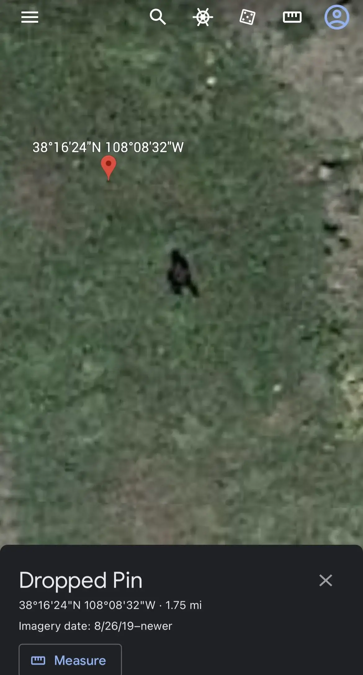 It at least looks like Bigfoot.