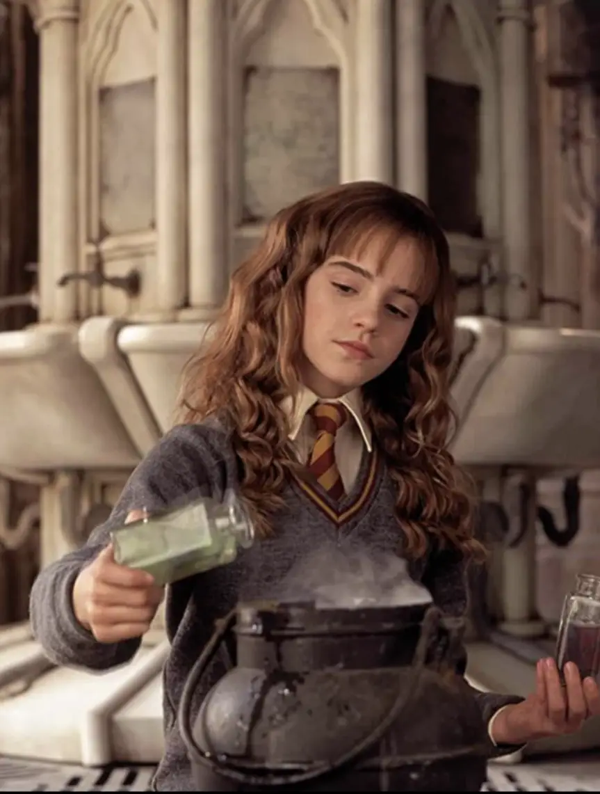 Emma Watson as Hermione Granger (IMDB/Warner Bros)