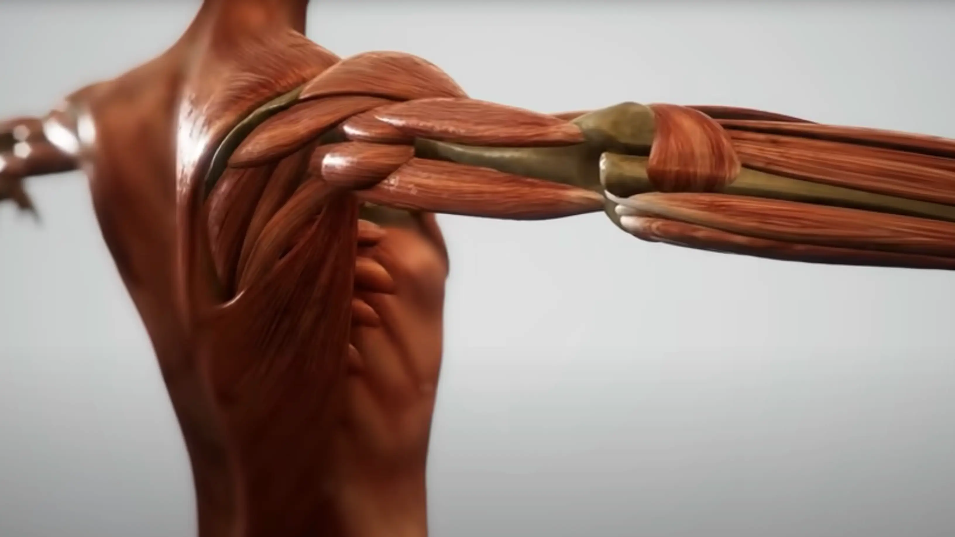 YouTube/Thomas DeLauer