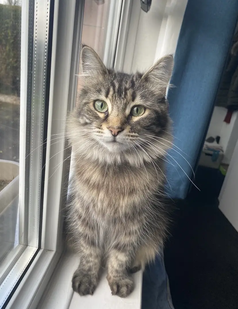 Nora was taken from her garden (PA)