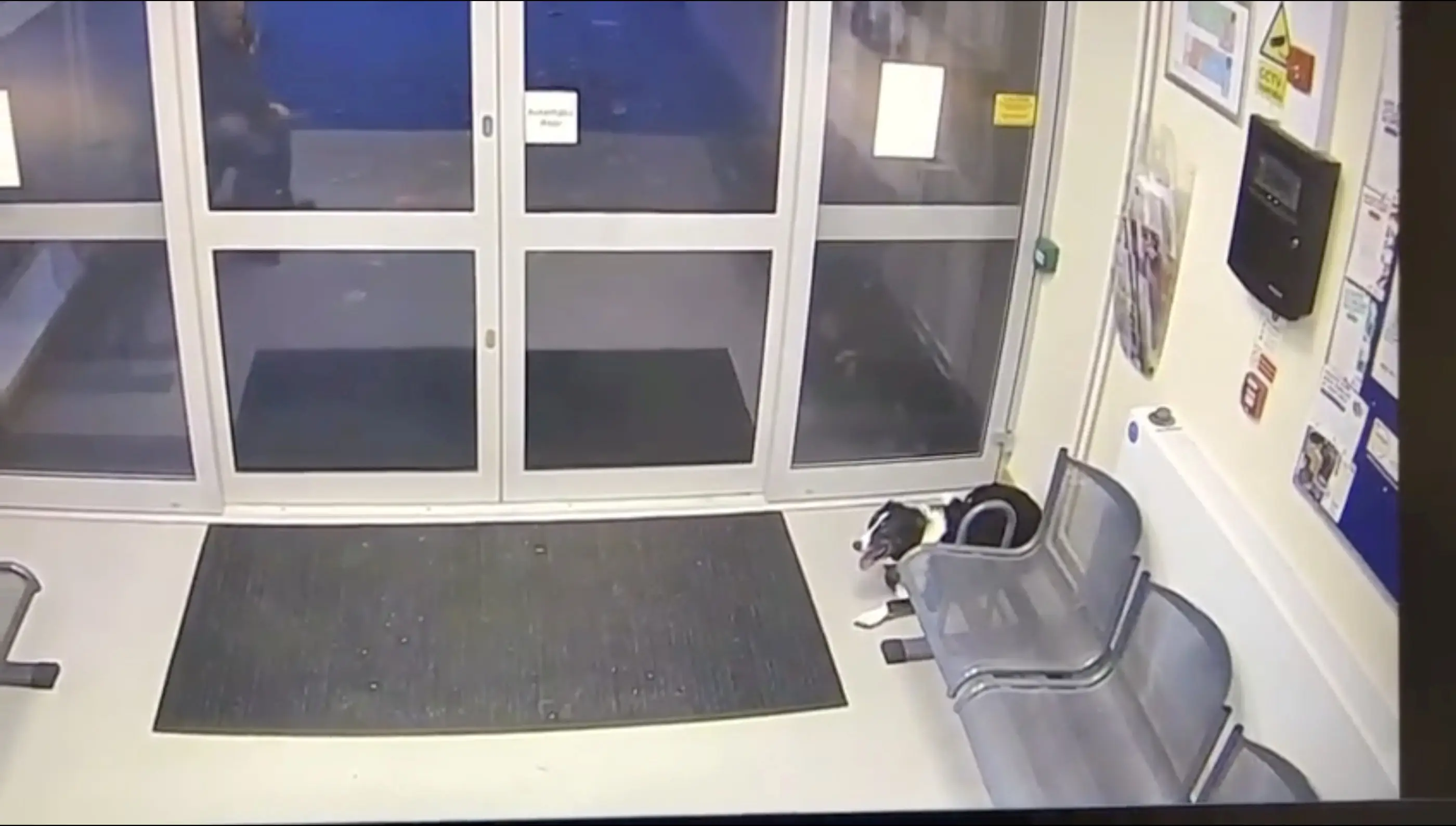 Rosie handed herself in to Loughborough Police Station.