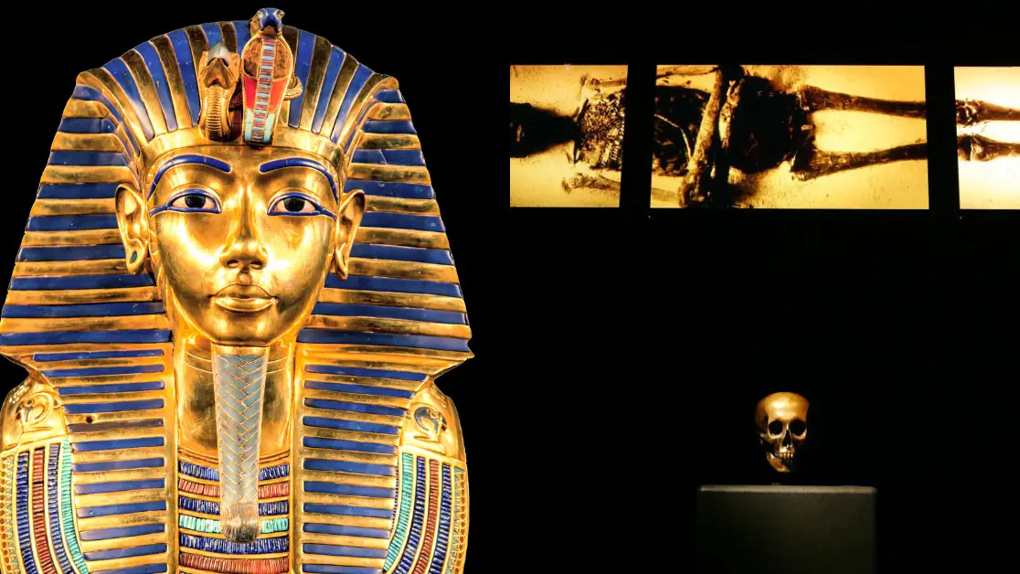 Getty Stock Photo/Ethan Miller/Getty Images