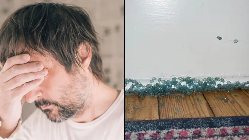 Igor Stevanovic / Alamy / Reddit / FireRotor