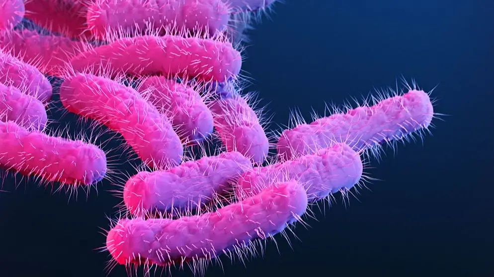 Smith Collection/Gado/Getty Images