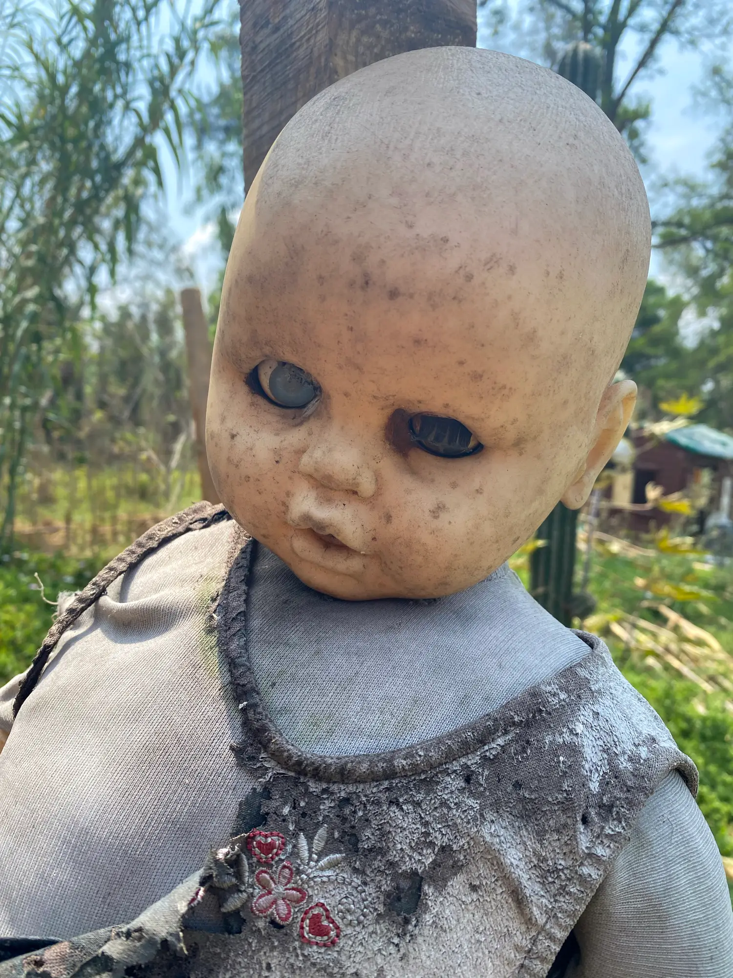 The dolls appear all over the island (Getty)