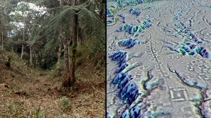 LIDAR A. DORISON ET S. ROSTAIN