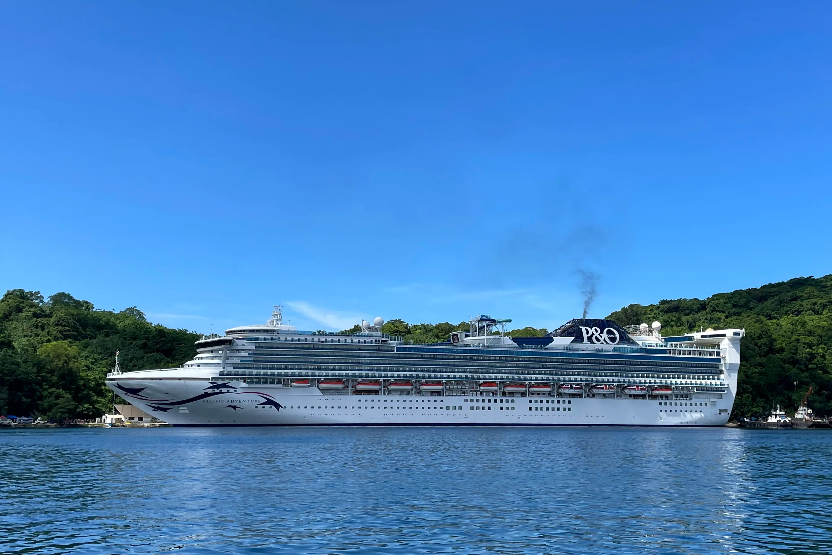 The man went overboard in the early hours of Monday morning. (Matt Blyth/Getty Images)