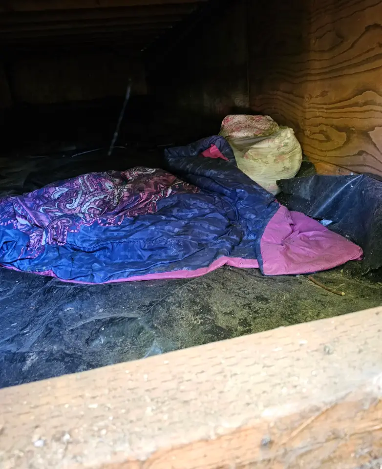 Gaby occasionally slept under the house (Reddit)