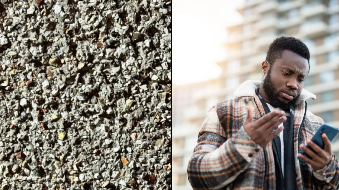 You have a sniper's 'perfect vision' if you can spot a hidden moth inside this image