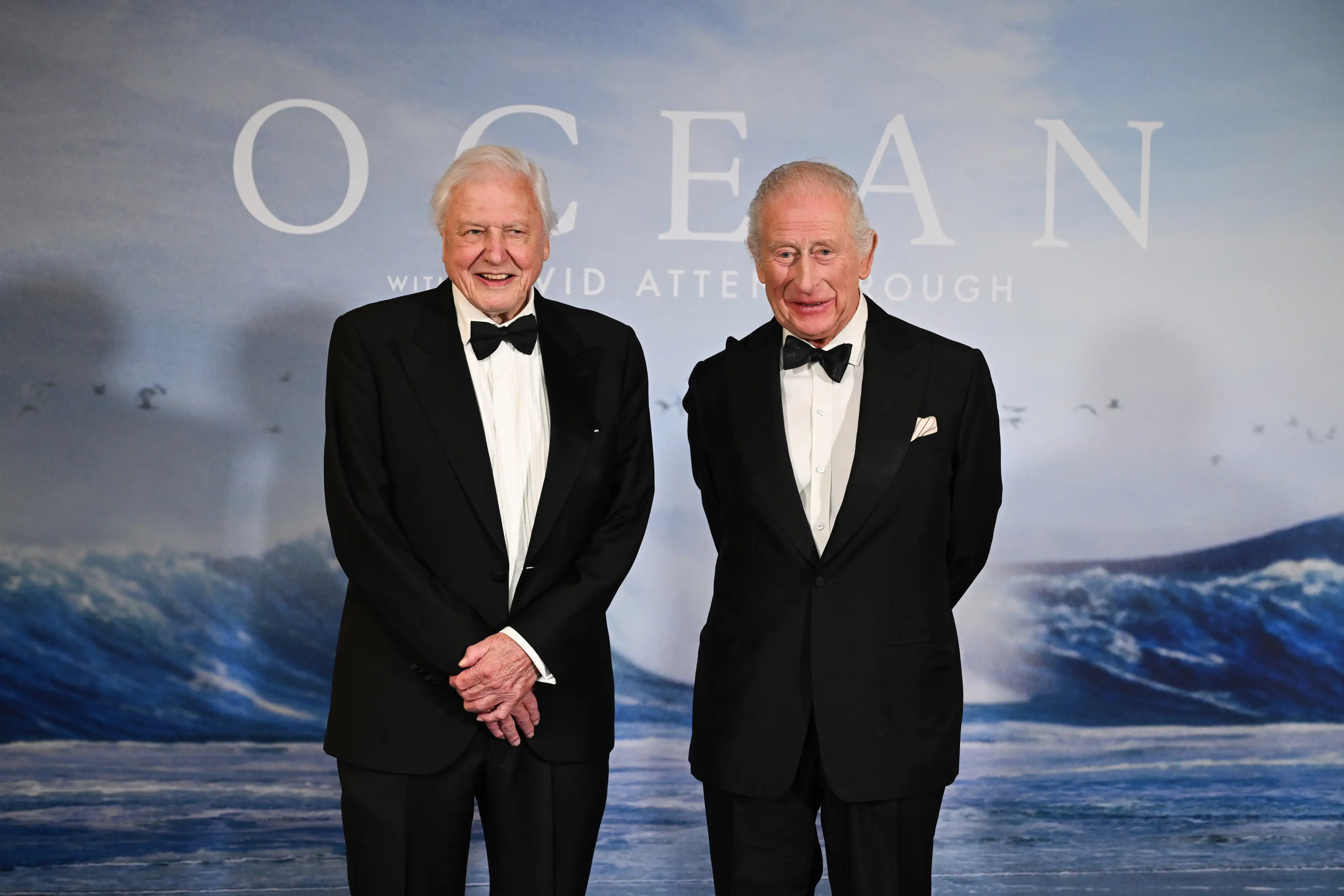 Attenborough narrated and appeared in the 2025 documentary Ocean with David Attenborough (Kate Green/Getty Images for National Geographic)