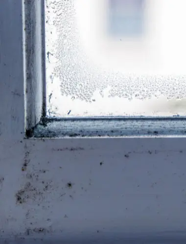 There are approximately two million people in England living with it in their homes (Getty Stock Images)