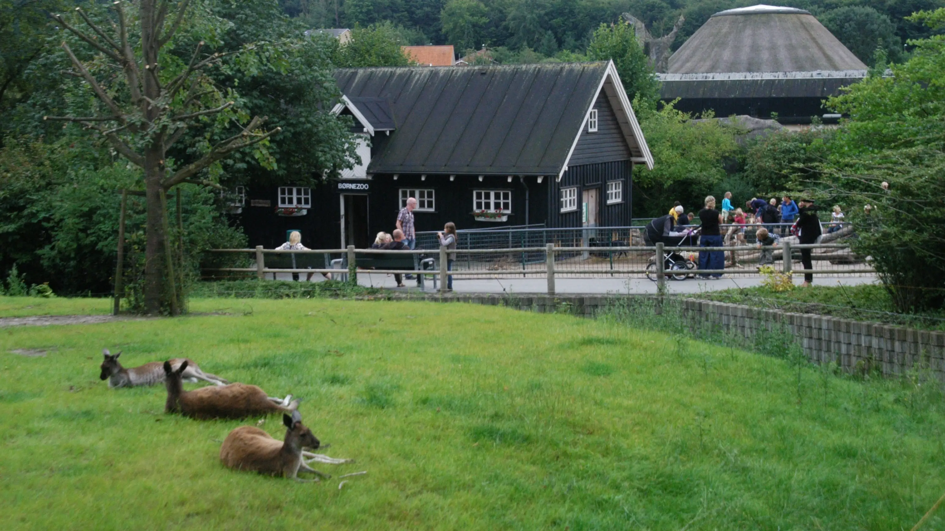 Peter Bischoff/Getty Images