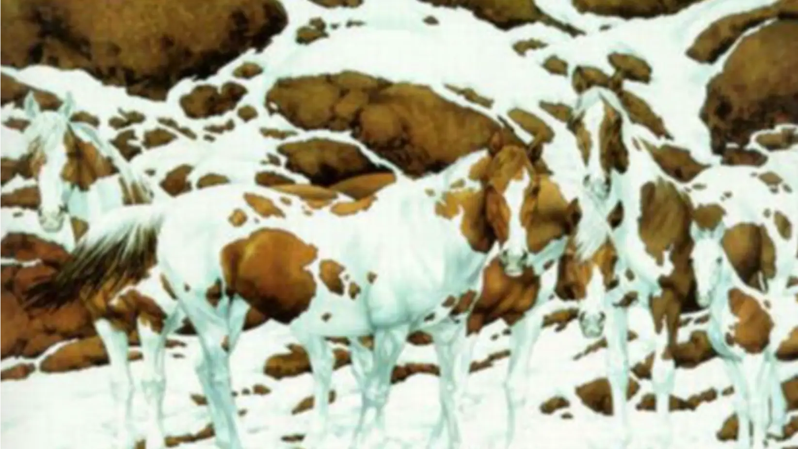 Bev Doolittle/Kids Environment Kids Health