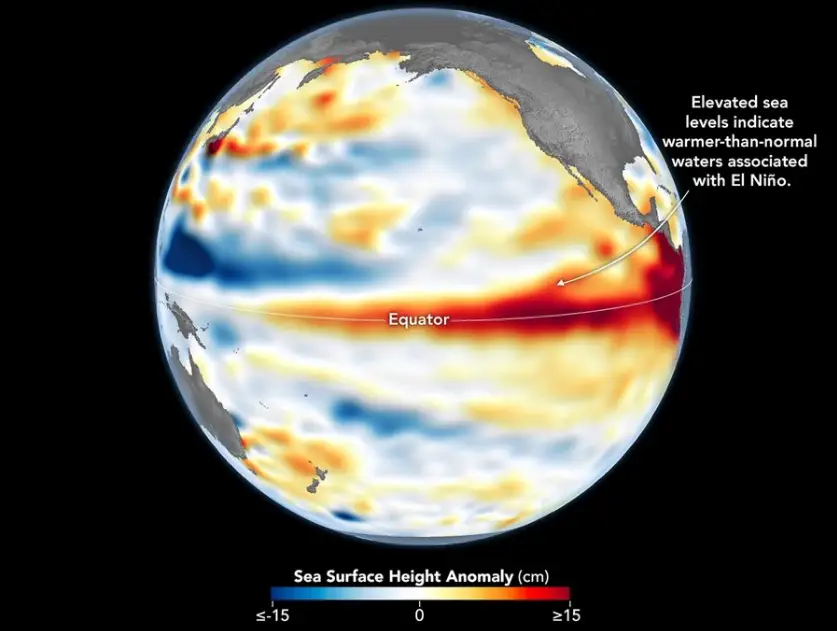 Data recorded by NASA on 8 June, evidencing an El Niño forming (NASA Earth Observatory/Lauren Dauphin)