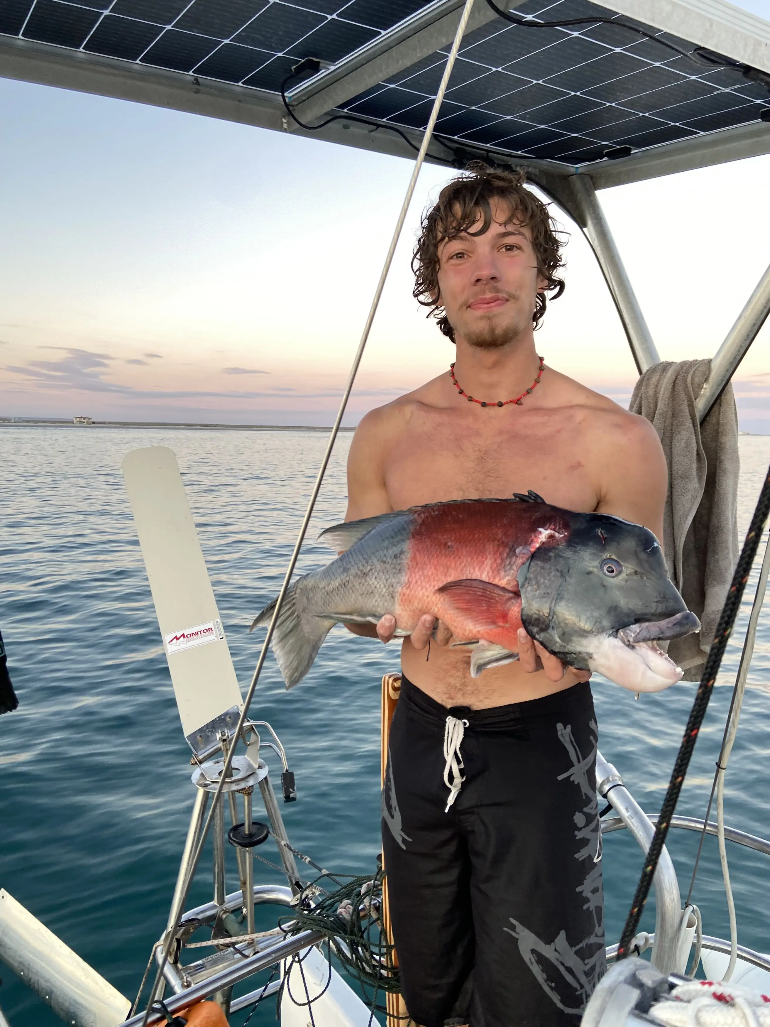 Diver Angus Kockott, 20, was working on a sailboat with his mate. (Kennedy News and Media)