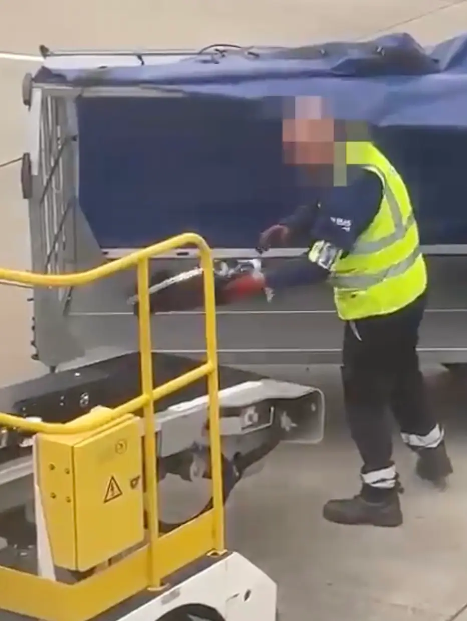 A baggage handler ws spotted throwing instruments onto the conveyor belt.