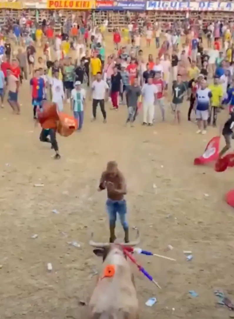 He seemed to try and jump over the bull. (X/ @‌PlataformaALTO)