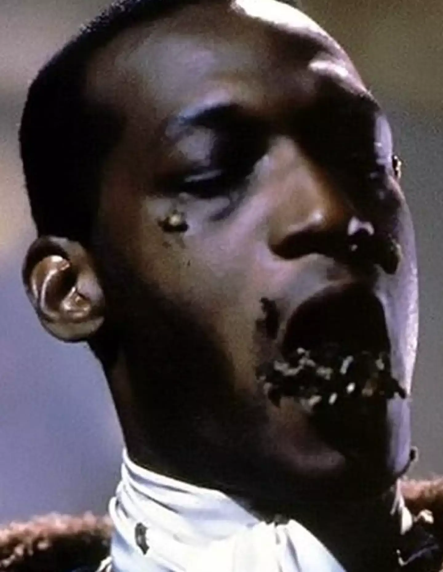 The bees were... real?! TriStar Pictures.