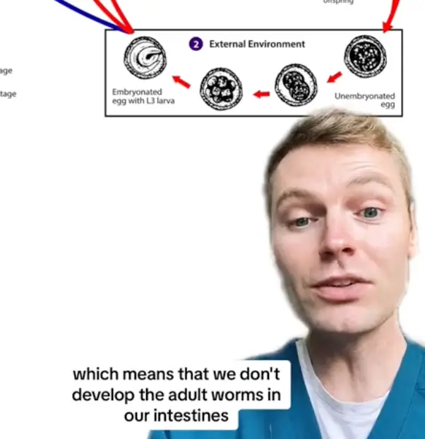 Ben the vet has explained exactly why you shouldn't flush animal faeces down the toilet.