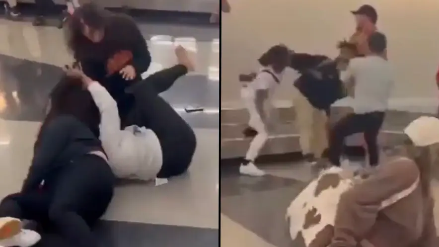 Twitter/@chicagocritter